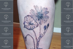 Aster2