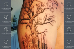 Baum