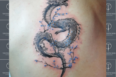 DracheN