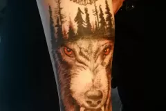 IMG_20231127_153327_839