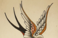 Schwalbe-Tintenstecher