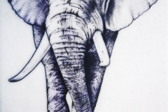 Tintenstecher-Elefant