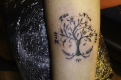 Tintenstecher-Lebensbaum