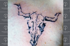 Tintenstecher-Wacken