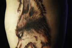 Wolf-JK-Tintenstecher